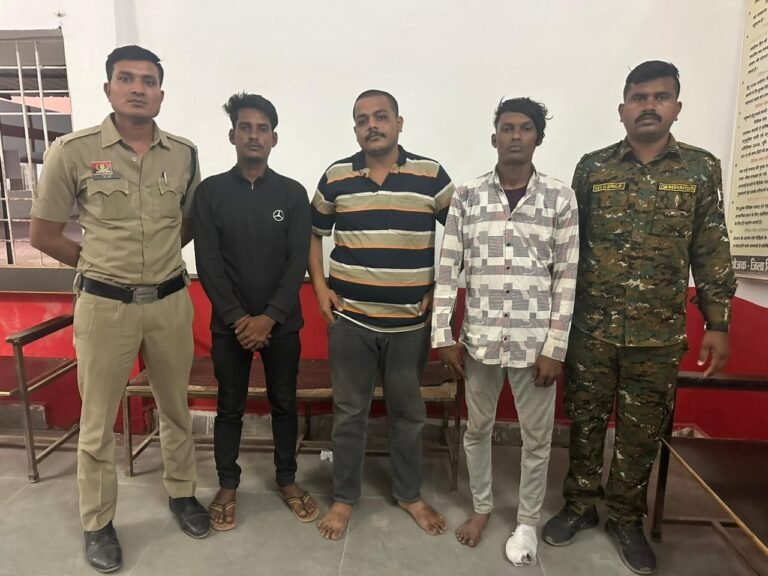 img-20260302-wa00472778602385568333928