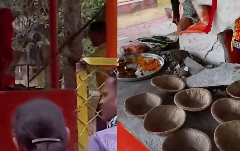 picsart_26-04-03_00-54-38-9548777235531266261594