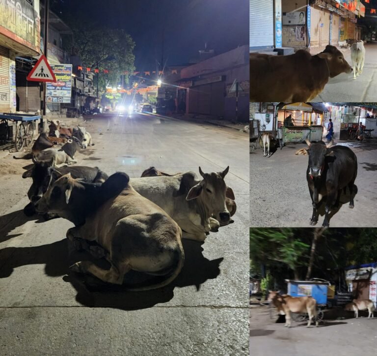 picsart_26-04-07_23-45-41-3143529304876393523328