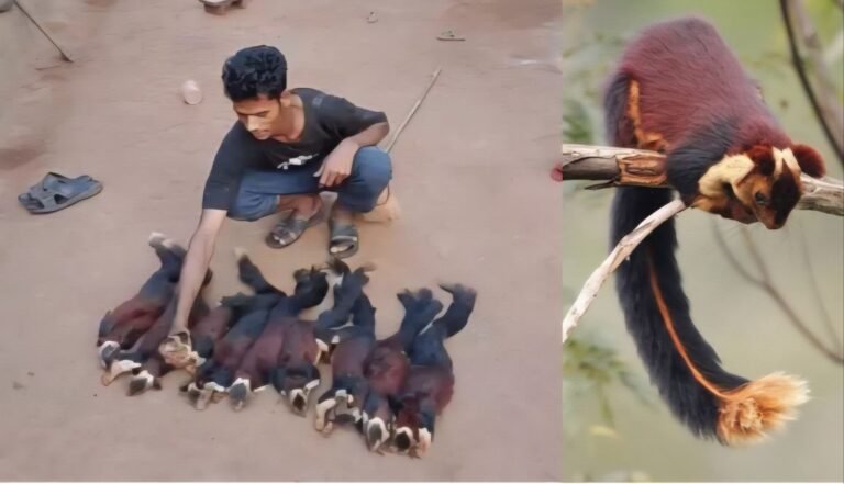 picsart_26-04-09_12-35-53-5672572799194182843832